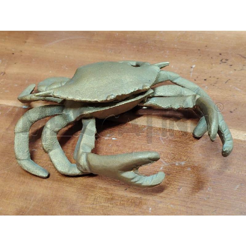 GRANCHIO OTTONE CALAMAIO  | Mercatino dell'Usato Manduria 2