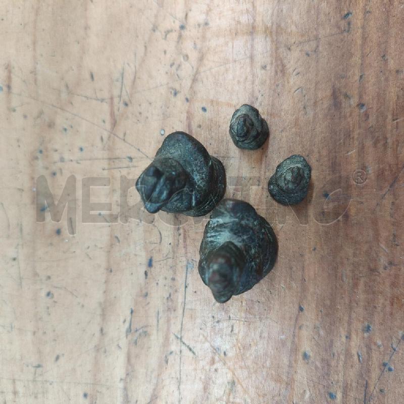 PESETTI PZ 4 BIRMANIA DA OPPIO BRONZO  | Mercatino dell'Usato Manduria 3