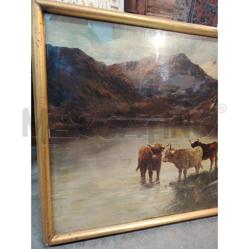 QUADRO TOM SEYMOUR OLIO SU TELA BUOI IN PASCOLO SULLE HIGHLAND CORNICE DORATA MISURE 56CM X 81CM  | Mercatino dell'Usato Manduria 2