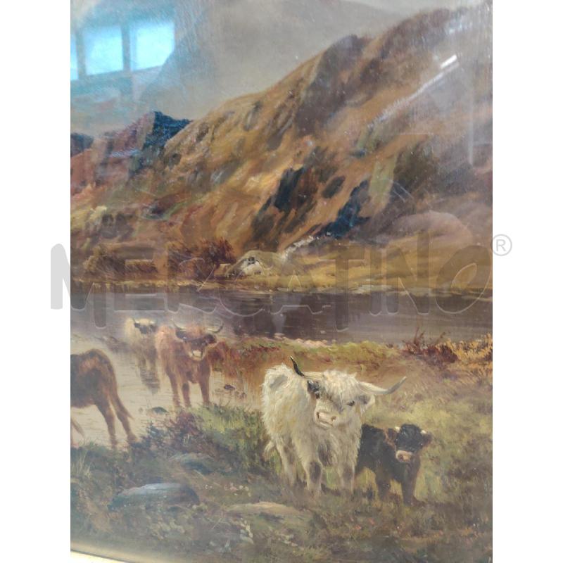 QUADRO TOM SEYMOUR OLIO SU TELA BUOI IN PASCOLO SULLE HIGHLAND CORNICE DORATA MISURE 56CM X 81CM  | Mercatino dell'Usato Manduria 3