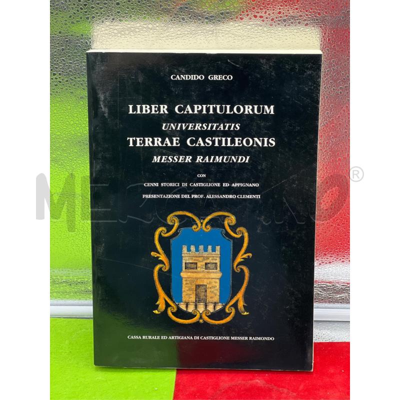 LIBRO LIBER CAPITULORUM TERRAE CASTILEONIS | Mercatino dell'Usato Teramo 1