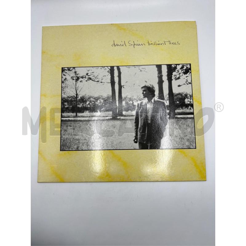 LP VINILE DAVID SYLVIAN - BRILLIANT TREES ITA 1984 VINILE VINYL 33 GIRI LP JAPAN BAND  | Mercatino dell'Usato Teramo 1