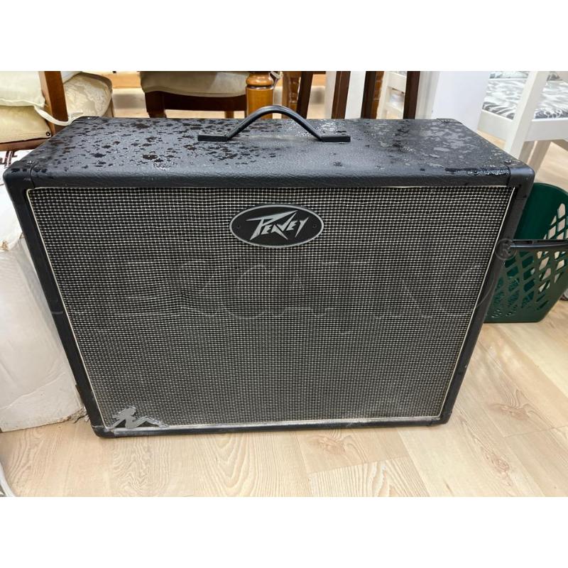 AMPLIFICATORE PEAVEY VALVOLARE PASSIVO | Mercatino dell'Usato Teramo 1