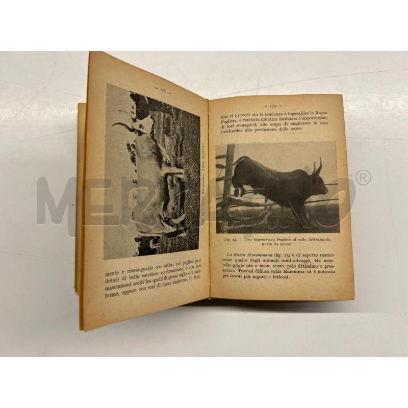 ELETTRICITA AGRARIA C. MALANDRA HOEPLI MILANO 1922 | Mercatino dell'Usato Teramo 4