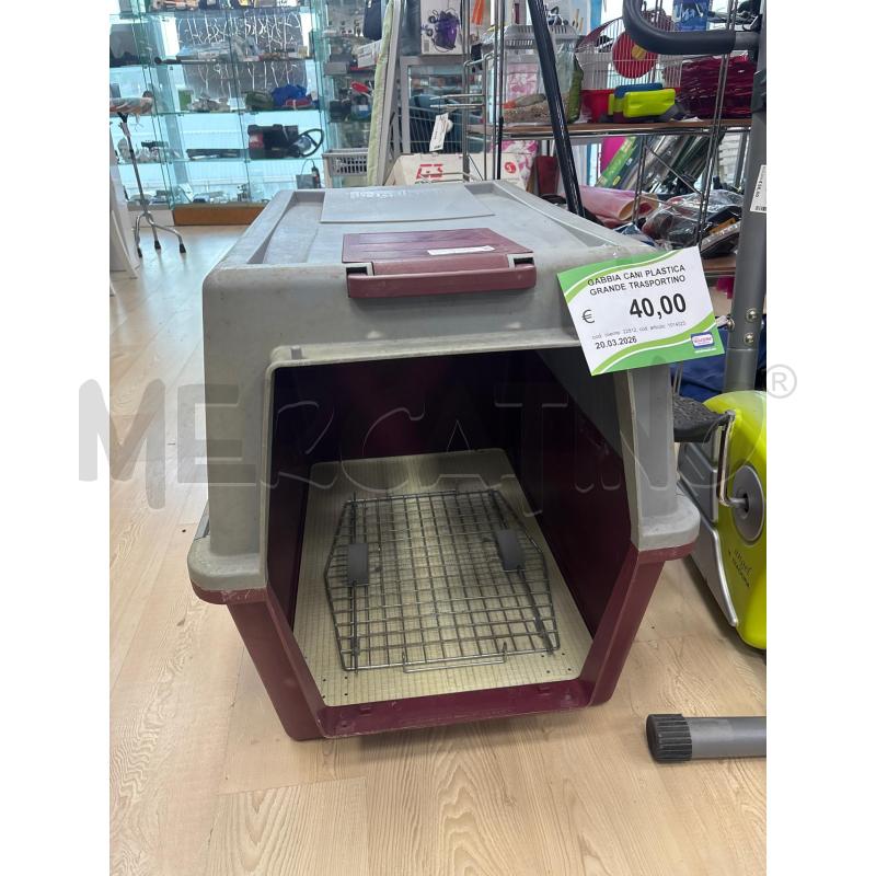GABBIA CANI PLASTICA GRANDE TRASPORTINO | Mercatino dell'Usato Teramo 1
