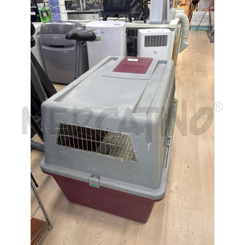 GABBIA CANI PLASTICA GRANDE TRASPORTINO | Mercatino dell'Usato Teramo 2