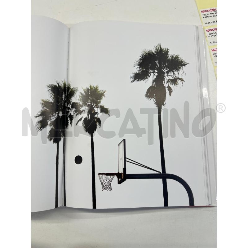 HOOP: THE AMERICAN DREAM: BY ROBYN LAYTON 2013 | Mercatino dell'Usato Teramo 4