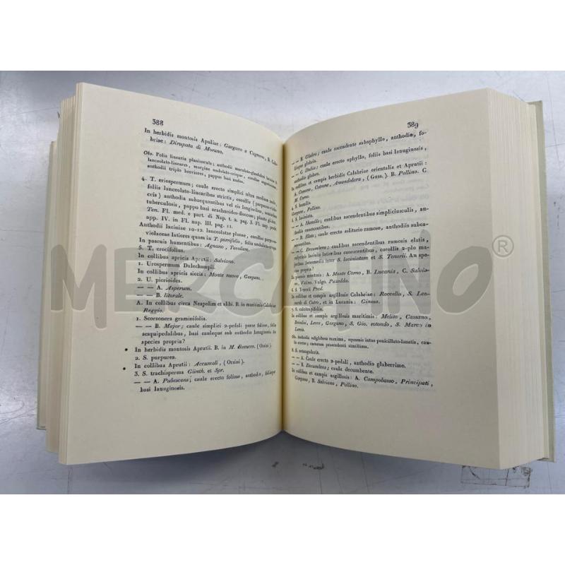 LB FLORAE NEAPOLITATANAE TENORE LATINO | Mercatino dell'Usato Teramo 2