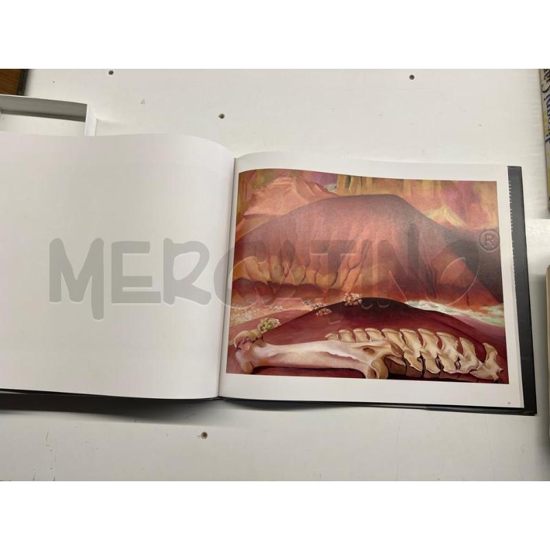 LIBRO GEORGIA O'KEEFFE FOTOGRAFIE ARTE | Mercatino dell'Usato Teramo 2