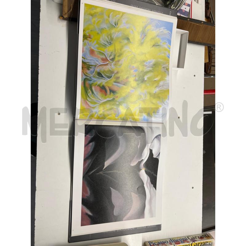 LIBRO GEORGIA O'KEEFFE FOTOGRAFIE ARTE | Mercatino dell'Usato Teramo 3