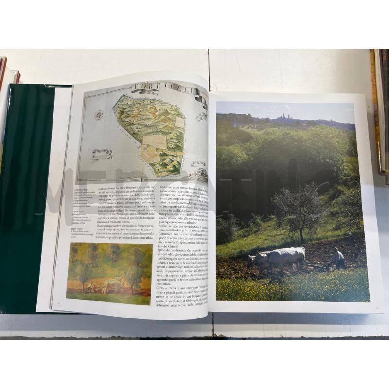 LIBRO IL PAESAGGIO TOSCANO L'OPERA DELL'UOMO  | Mercatino dell'Usato Teramo 3