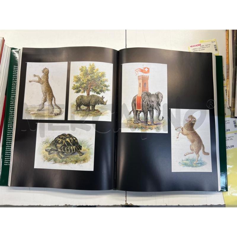 LIBRO L'IMMAGINE DEL PALIO | Mercatino dell'Usato Teramo 2