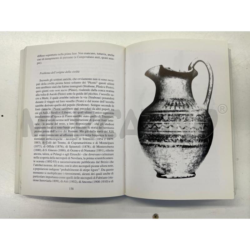LIBRO PREISTORIA DEL MEDIO ADRIATICO | Mercatino dell'Usato Teramo 3
