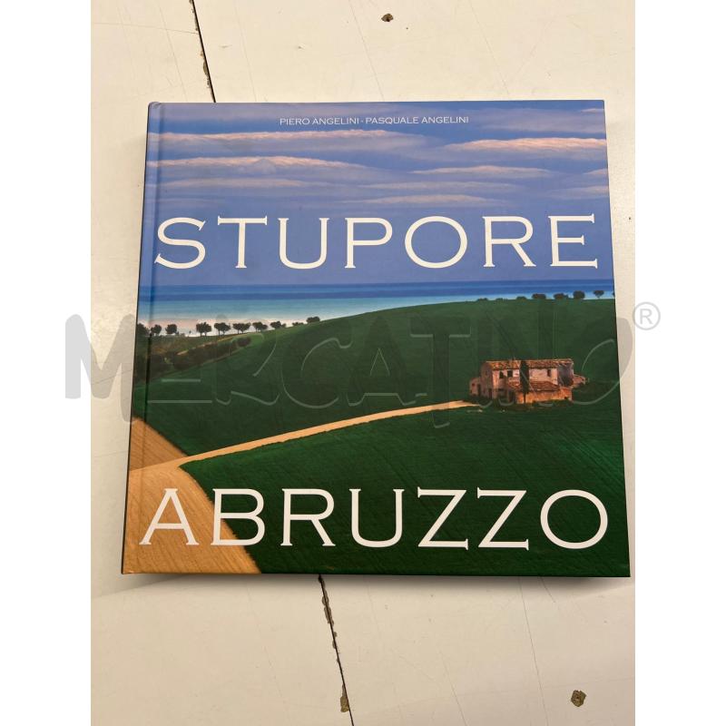LIBRO STUPORE ABRUZZO ANGELINI 2014 | Mercatino dell'Usato Teramo 1