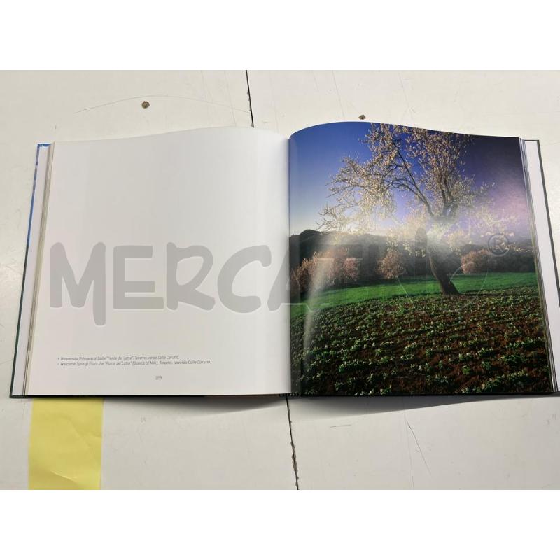 LIBRO STUPORE ABRUZZO ANGELINI 2014 | Mercatino dell'Usato Teramo 2