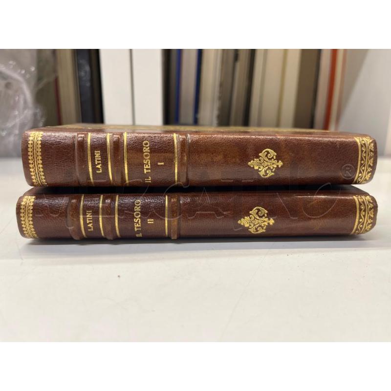LIBRO VINTAGE IL TESORO BRUNETTO LATINI 1839 TIPI DEL GONDOLIERE | Mercatino dell'Usato Teramo 5