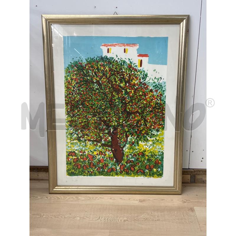 LITOGRAFIA ATHOS FACCINCANI ALBERO DI FRATTA 71DI100 | Mercatino dell'Usato Teramo 1
