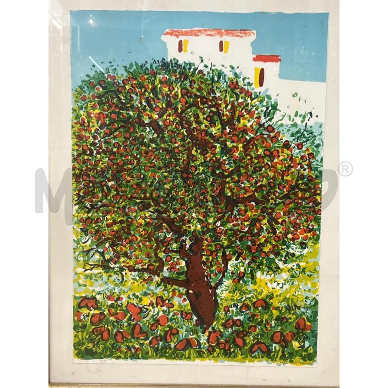 LITOGRAFIA ATHOS FACCINCANI ALBERO DI FRATTA 71DI100 | Mercatino dell'Usato Teramo 2