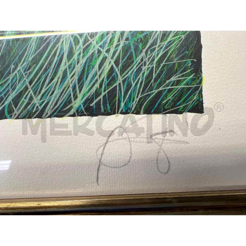 LITOGRAFIA FRANCO AZZINARI CAMPO PAPAVERI + CORNICE | Mercatino dell'Usato Teramo 2