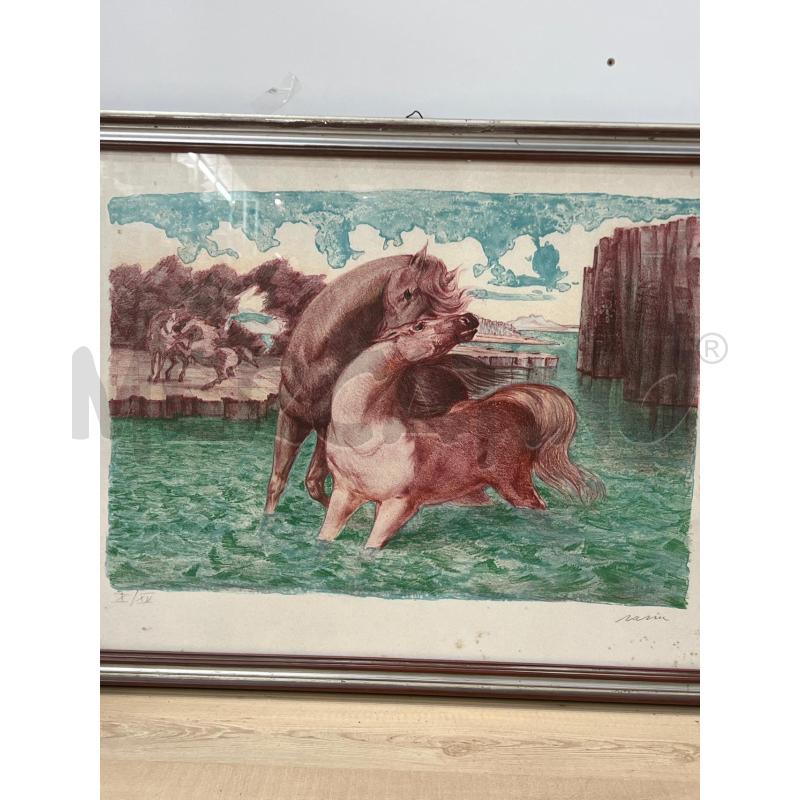 LITOGRAFIA MURER CAVALLI X DI XV -  | Mercatino dell'Usato Teramo 2