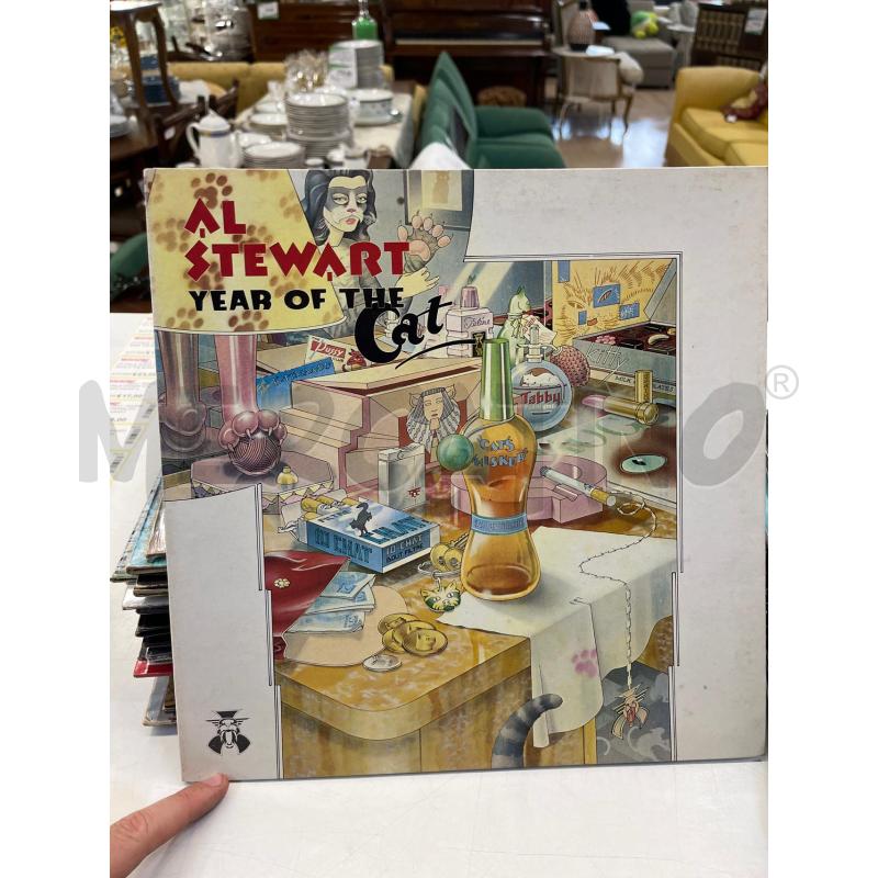 LP VINILE AL STEWART YEAR OF THE CAT | Mercatino dell'Usato Teramo 1