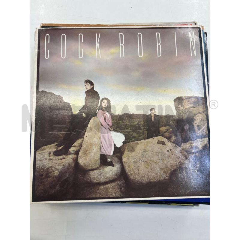 LP VINILE COCK ROBIN | Mercatino dell'Usato Teramo 1