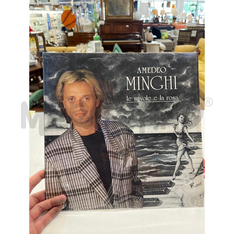 LP VINILE MINGHI LE NUVOLE E LA ROSA | Mercatino dell'Usato Teramo 1