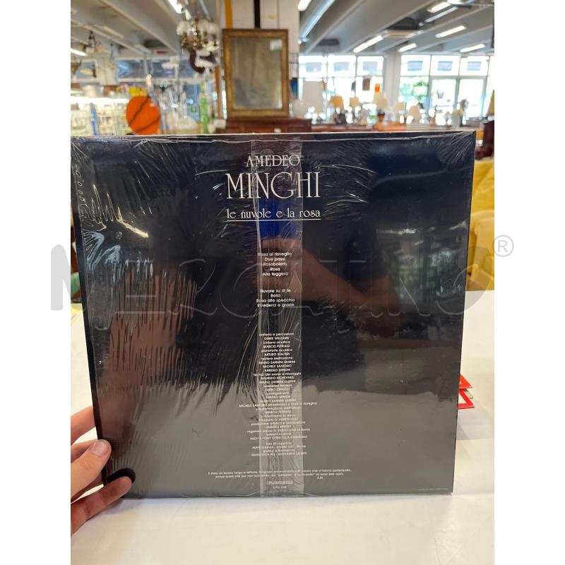 LP VINILE MINGHI LE NUVOLE E LA ROSA | Mercatino dell'Usato Teramo 2