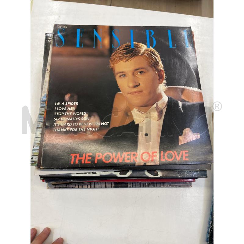 LP VINILE SENSIBLE THE POWER OF LOVE | Mercatino dell'Usato Teramo 1