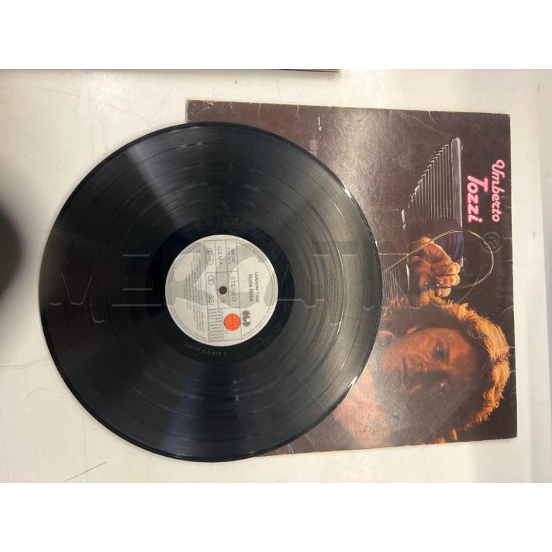 LP VINILE UMBERTO TOZZI NOTTE ROSA | Mercatino dell'Usato Teramo 2