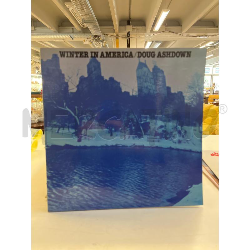 LP VINILE WINTER IN AMERICA DOUG ASHDOWN | Mercatino dell'Usato Teramo 1