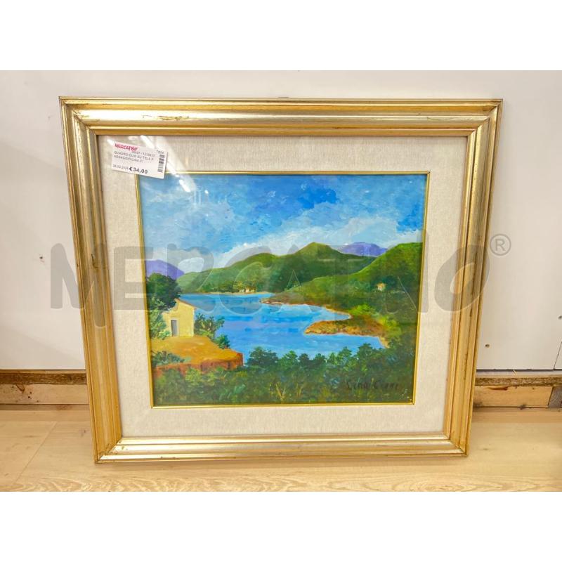 QUADRO OLIO SU TELA PAESAGGIO LINA CIONI | Mercatino dell'Usato Teramo 1