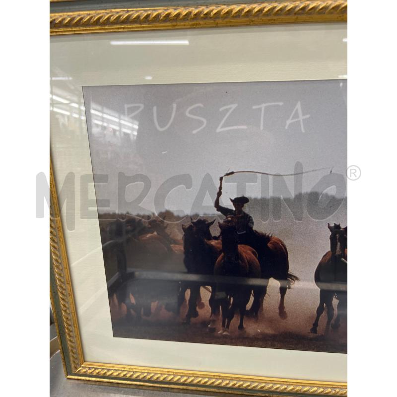 QUADRO STAMPA CAVALLI PUSZTA CORNICE DORATA | Mercatino dell'Usato Teramo 2