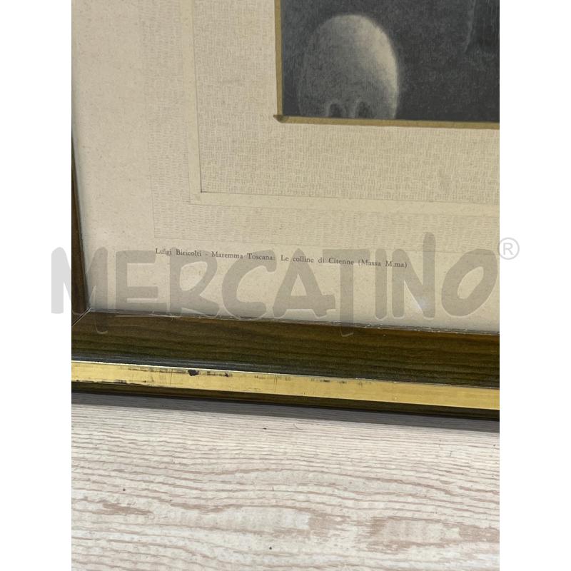QUADRO STAMPA LUIGI BRICOLTI MAREMMA TOSCANA E LE COLLINE DI CITENNE MASSA M.MA RIPRODUZIONE VIETATA | Mercatino dell'Usato Teramo 3