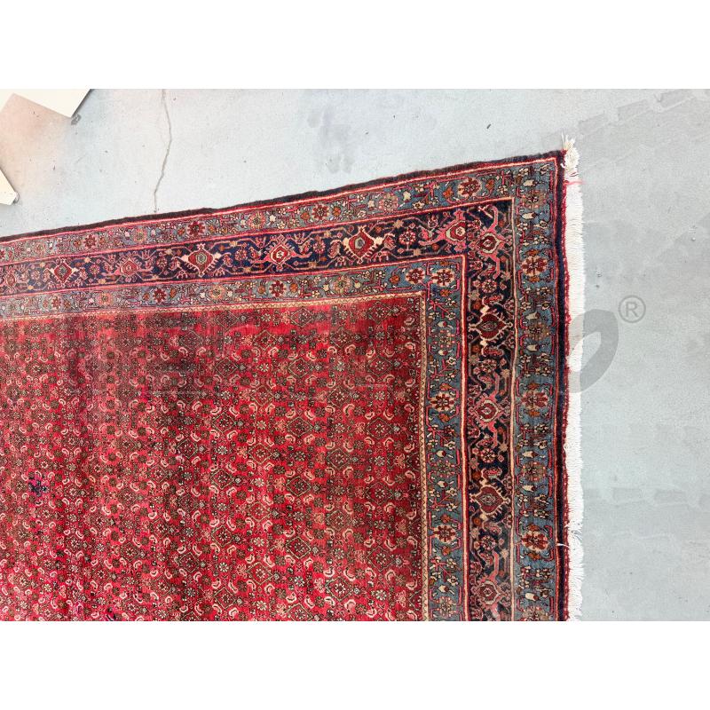 TAPPETO BIDJAR IRAN ORIENTALE 255X345 CM TONI ROSSI E AZZURRI | Mercatino dell'Usato Teramo 2
