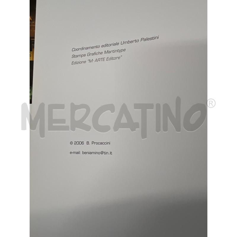 TERAMO IMMAGINARE UNA CITTA PROCACCINI BENIAMINO 2006 | Mercatino dell'Usato Teramo 2