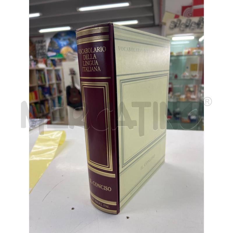 TRECCANI IL CONCISO 1998 1 EDIZIONE | Mercatino dell'Usato Teramo 1