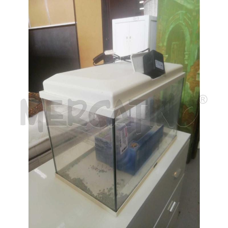 ACQUARIO 50 LT C/FILTRO OMAGGIO C/LUCE | Mercatino dell'Usato Moncalieri bengasi 3