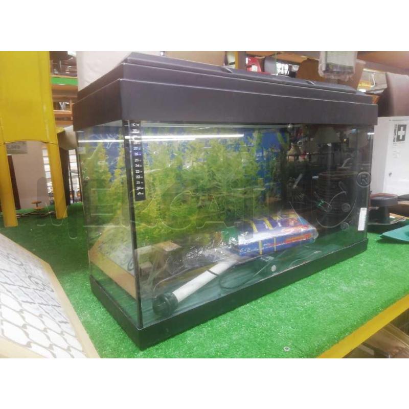 ACQUARIO 80 | Mercatino dell'Usato Moncalieri bengasi 1