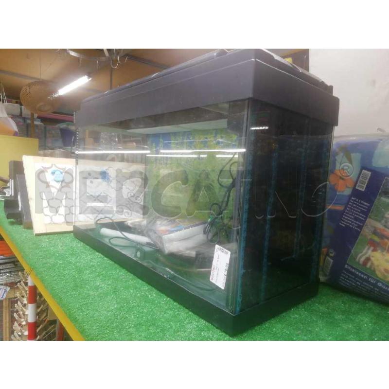 ACQUARIO 80 | Mercatino dell'Usato Moncalieri bengasi 4