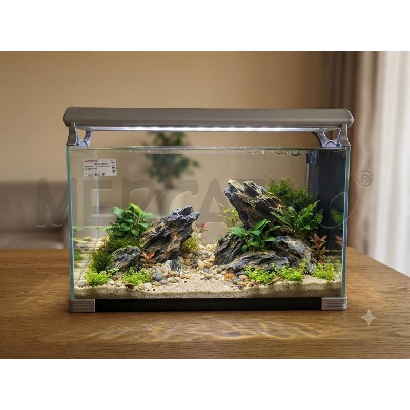 ACQUARIO CON ACCESSORI IN OMAGGIO | Mercatino dell'Usato Moncalieri bengasi 1