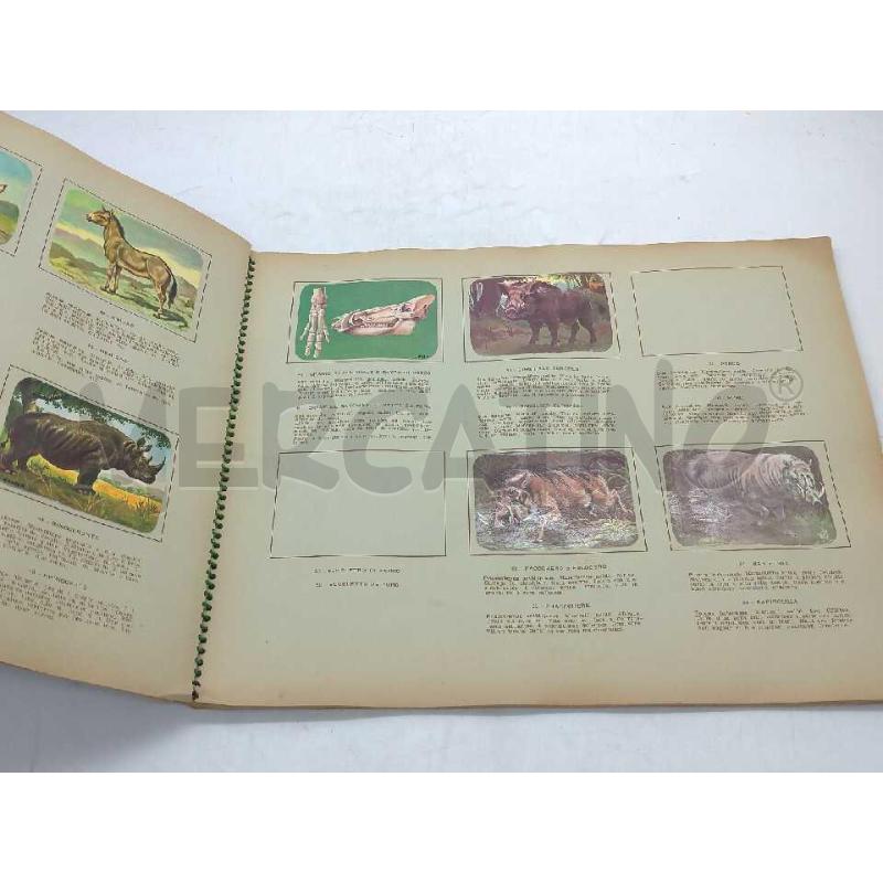 ALBUM FIGURINE ENCICLOPEDIA DI TOPOLINO I MAMMIFERI INCOMPLETO  | Mercatino dell'Usato Moncalieri bengasi 3