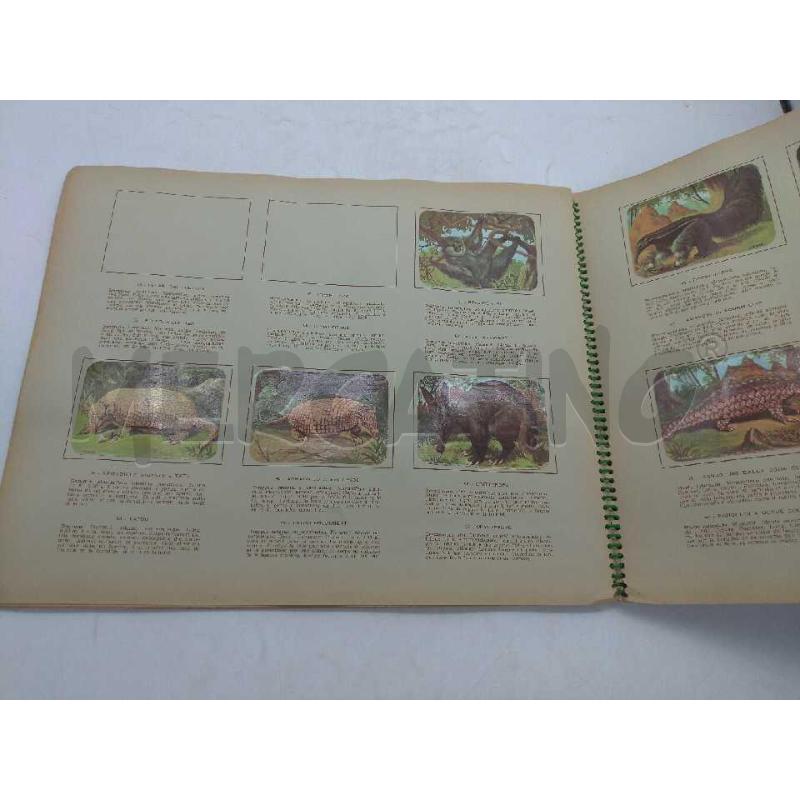 ALBUM FIGURINE ENCICLOPEDIA DI TOPOLINO I MAMMIFERI INCOMPLETO  | Mercatino dell'Usato Moncalieri bengasi 4