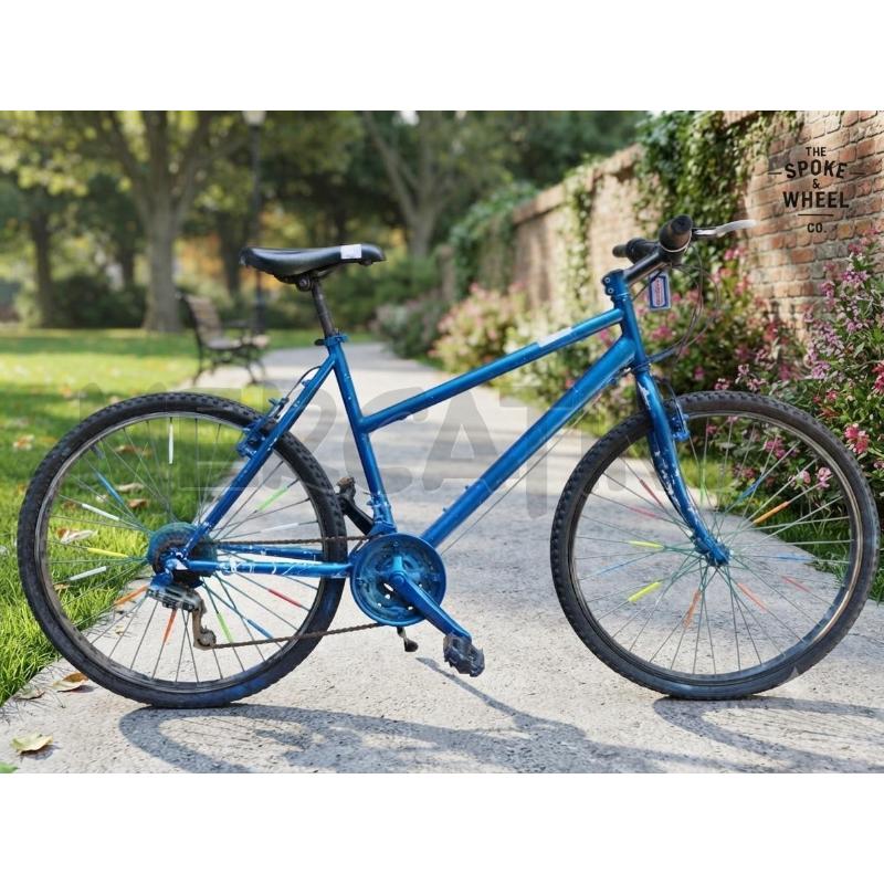 BICICLETTA DONNA BLU RIVERNICIATA ANNI 90 IN BUONE CONDIZIONI  | Mercatino dell'Usato Moncalieri bengasi 1