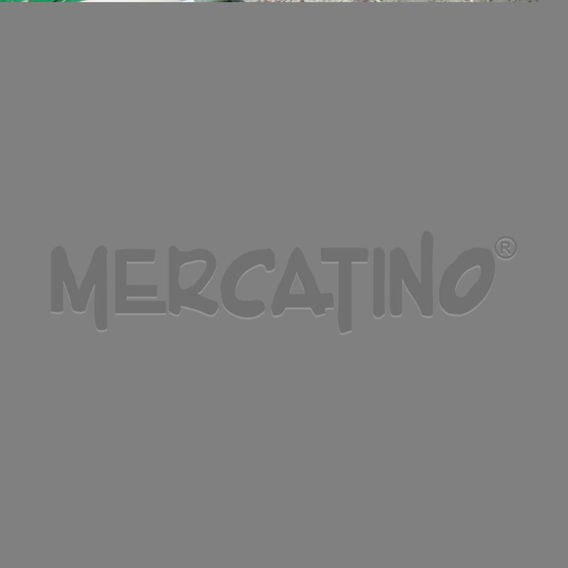 BICICLETTA PENNAROLA P900 ALLUMINIO 26 POLLICI | Mercatino dell'Usato Moncalieri bengasi 4