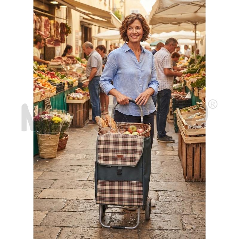 CARRELLO SPESA GIMI  | Mercatino dell'Usato Moncalieri bengasi 1