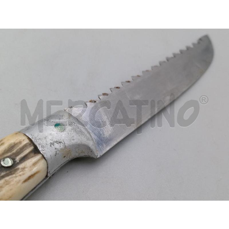 COLTELLINO SEGHETTATO CORNO | Mercatino dell'Usato Moncalieri bengasi 5