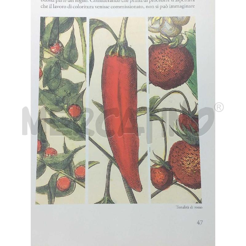 COMMENTARIUM HORTUS EYSTETTENSIS EDIZIONI ABOCA | Mercatino dell'Usato Moncalieri bengasi 3