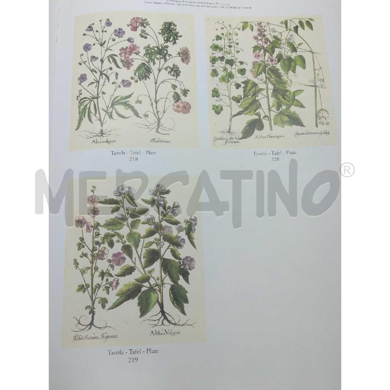 COMMENTARIUM HORTUS EYSTETTENSIS EDIZIONI ABOCA | Mercatino dell'Usato Moncalieri bengasi 5