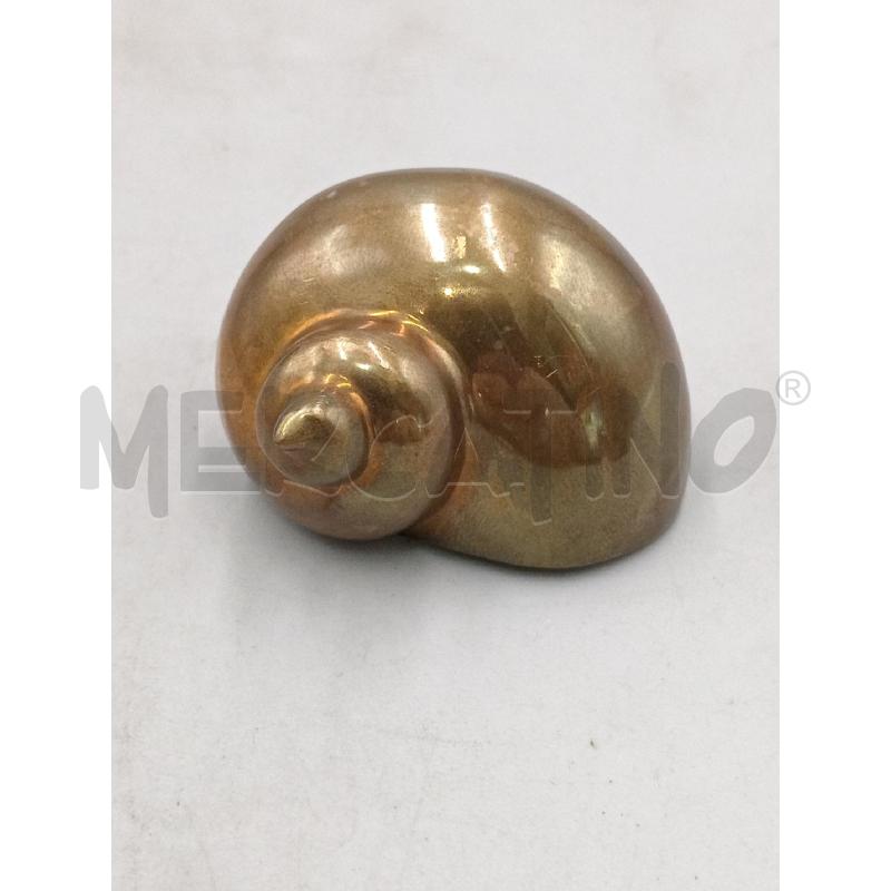CONCHIGLIA OTTONE H. 4 | Mercatino dell'Usato Moncalieri bengasi 1